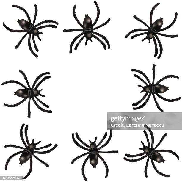 black toy spiders isolated on white background. halloween decorations concept. top view. flat lay - spider stock pictures, royalty-free photos & images