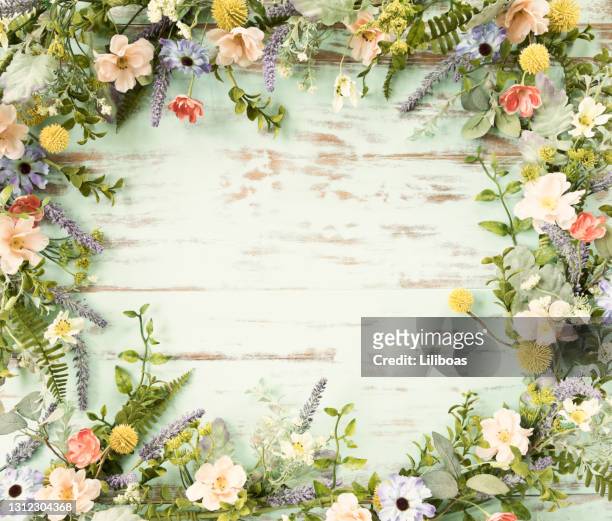 舊質樸的藍色木背景上的春花圈花環框架 - flowers 個照片及圖片檔