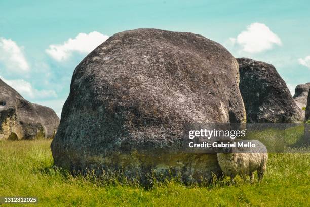 elephant rock in new zealand - elephant rocks new zealand stock pictures, royalty-free photos & images