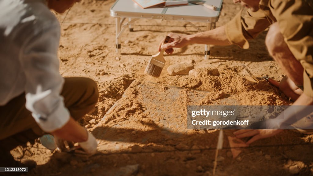 Dig Anyh Archaeological Digging Site Two Great Archeologists Work On Excavation ...