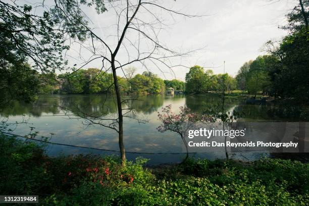 Atlanta Georgia Rural Rural Georgia Usa Photos and Premium High Res Pictures - Getty Images