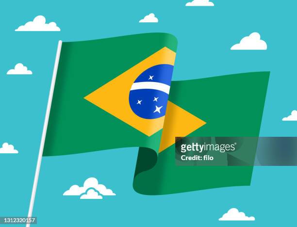 flagge von brasilien - latin america stock-grafiken, -clipart, -cartoons und -symbole