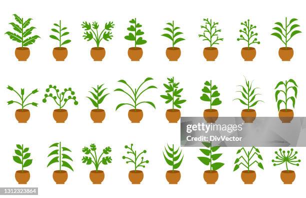 plants icon set - flower pot stock illustrations
