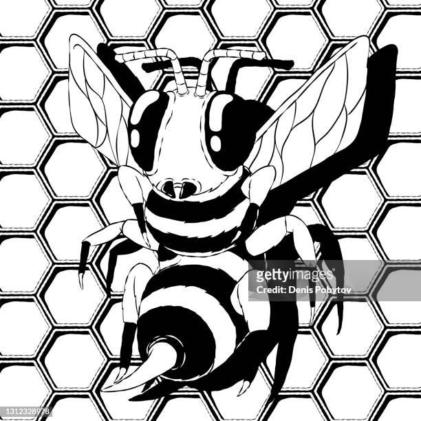 ilustraciones, imágenes clip art, dibujos animados e iconos de stock de boceto vectorial en blanco y negro dibujado a mano - abeja sobre fondo de panal de abeja. - ojo compuesto