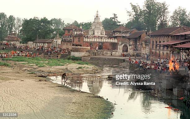 Mourners watch a cremation ceremony before the one that took place for the Nepalese royal family at Pashupati Nath Arya Ghhat, June 2, 2001 in...