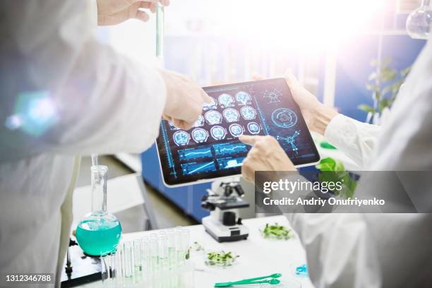 working in laboratory - medizintechnik stock-fotos und bilder