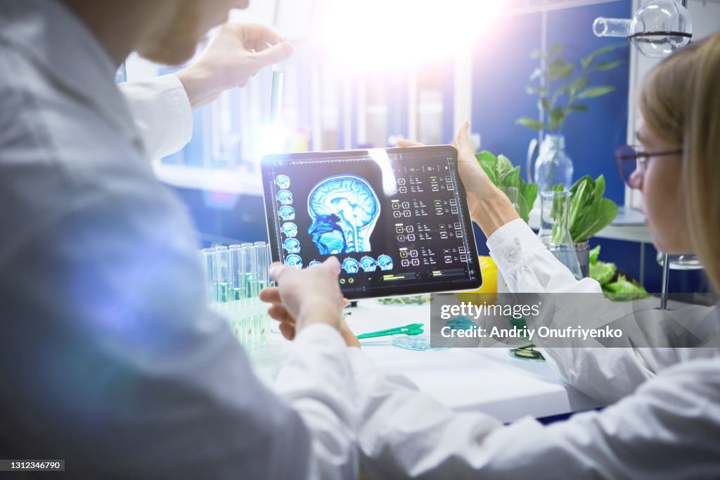 Working in laboratory
