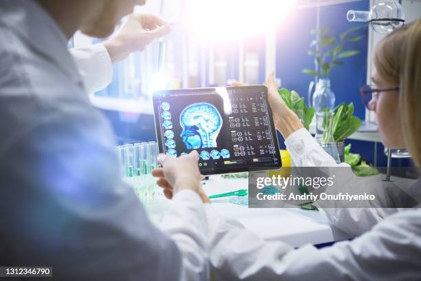 working in laboratory - pathologist stock pictures, royalty-free photos & images