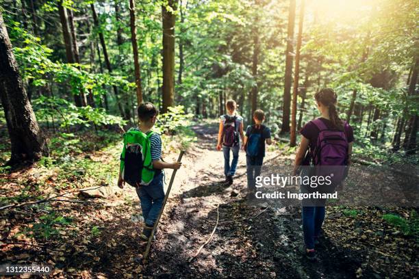 escursioni in famiglia sul sentiero forestale fino alla primavera - family hiking in spring outdoors foto e immagini stock