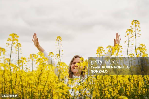 happy woman jumping in a blossoming yellow rape field - canola oil stock pictures, royalty-free photos & images