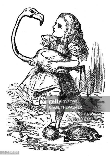 alice holding a flamingo - alice in wonderland 1897 - alice in wonderland fictional character stock illustrations