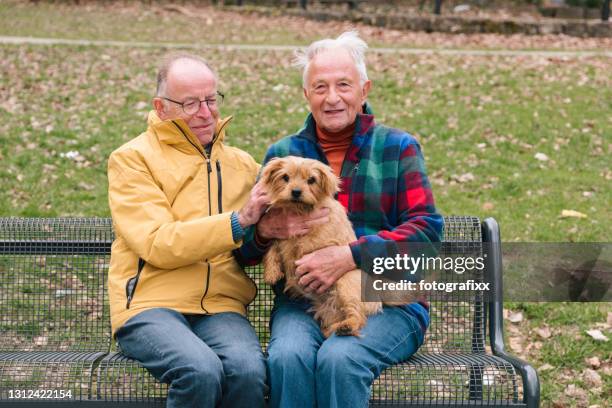 pareja gay mayor con perro sentarse en un banco del parque, fondo rural - gay seniors fotografías e imágenes de stock