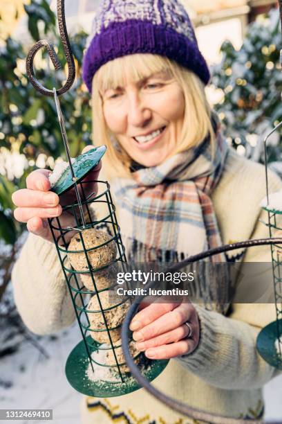 filling bird feeder in winter - bird feeder stock pictures, royalty-free photos & images