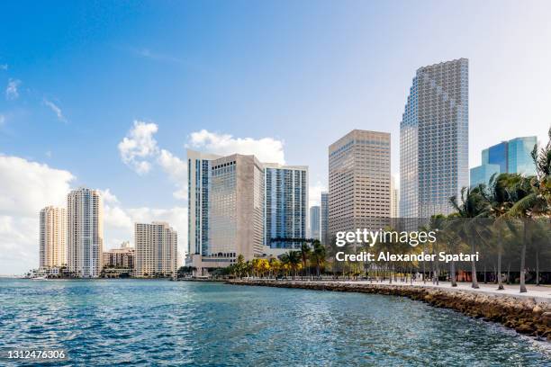 miami downtown skyline with modern office skyscrapers, florida, usa - miami stockfoto's en -beelden