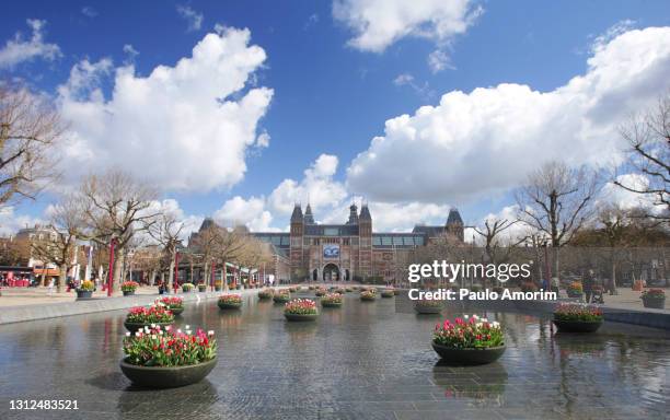 tulip festival in amsterdam - rijksmuseum stock pictures, royalty-free photos & images