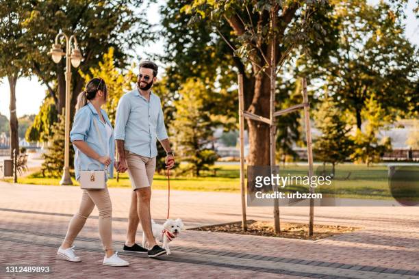 couple with dog enjoying a walk in the park - minute dating stock pictures, royalty-free photos & images