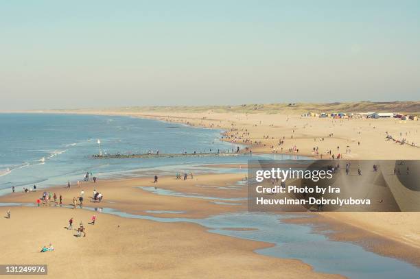 people walking on beach of north sea coast - netherlands beach stock pictures, royalty-free photos & images