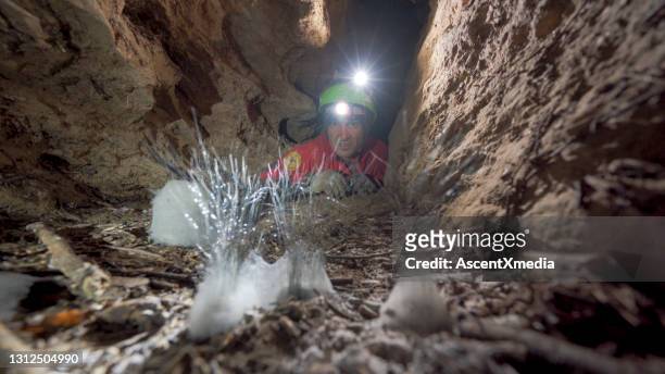 cave explorer with headlamp discovers rare organisms - speleology stock pictures, royalty-free photos & images