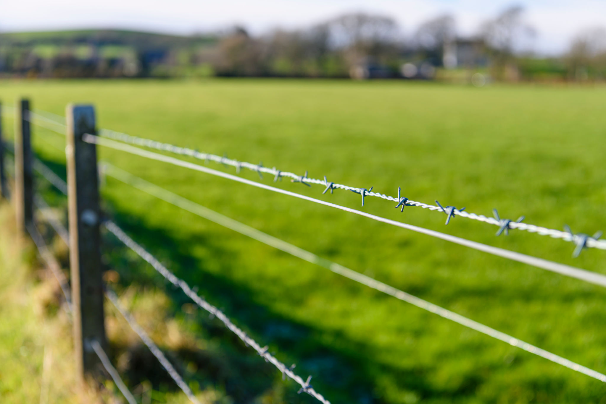 Barbed wire fence at a field Barbed wire fence at a field