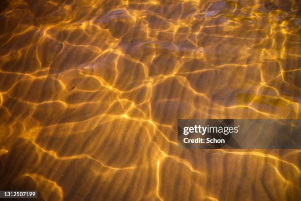 sun glitter on a sandy beach in a lake - yellow texture stock pictures, royalty-free photos & images