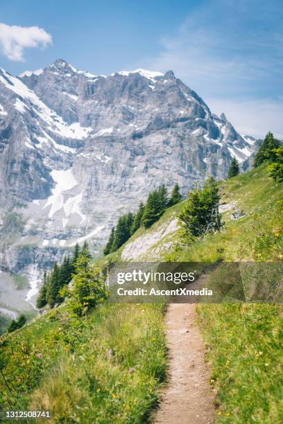 Steep Alps Path Photos and Premium High Res Pictures - Getty Images