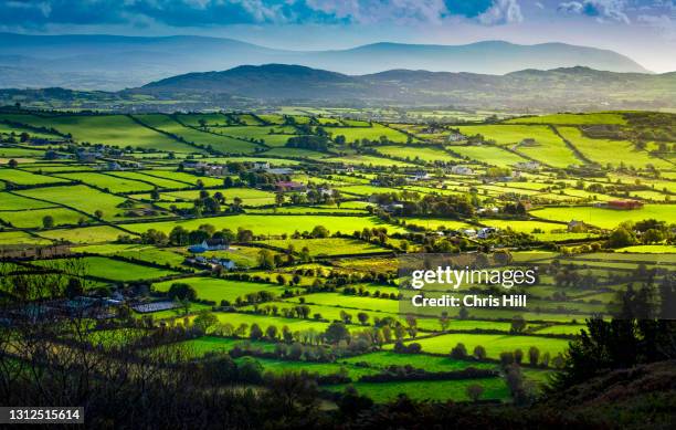 the ring of gullion from the top of sleive gullion a extinct volcano in county armagh, northern ireland - comté d'armagh photos et images de collection