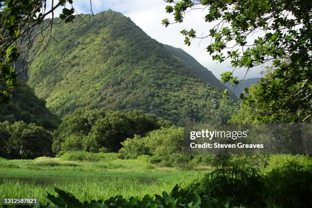 79 Pio Island Stock Photos, HighRes Pictures, and Images Getty Images