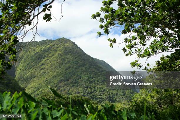 58 Pio Island Stock Photos, HighRes Pictures, and Images Getty Images