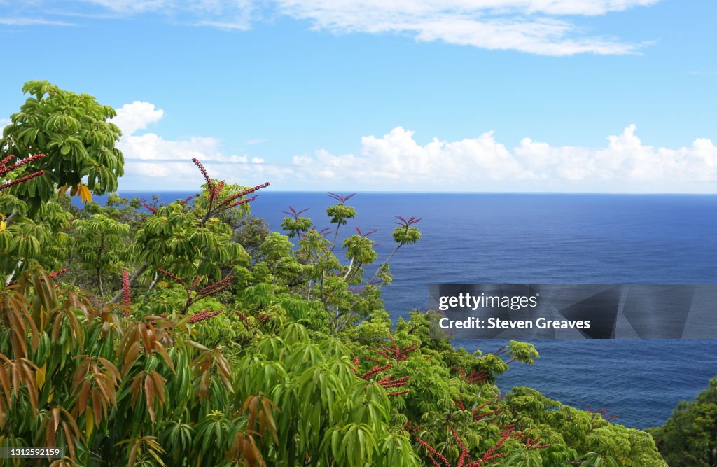 Onomea Bay along the Hamakua Heritage Corridor
