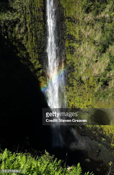a rainbow is viewed at akaka falls, akaka falls state park - akaka state falls park stock pictures, royalty-free photos & images