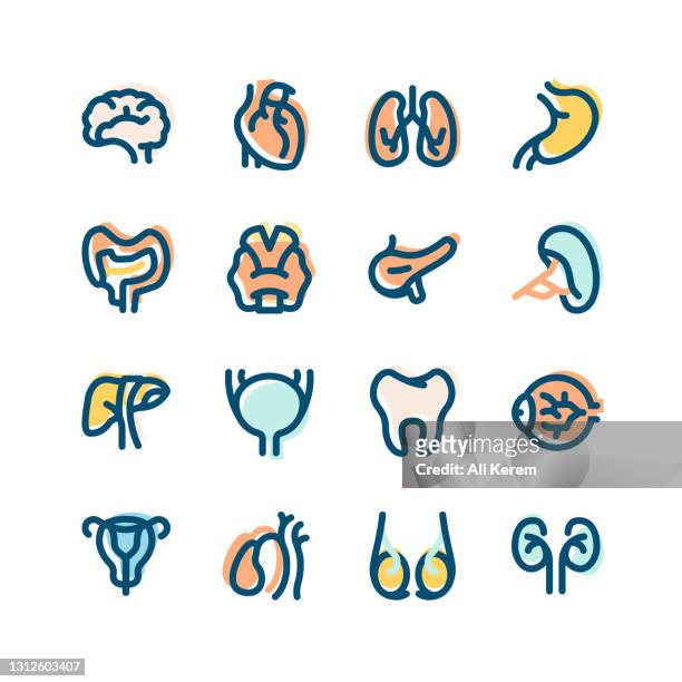 人間の臓器アイコンセット - bladder点のイラスト素材／クリップアート素材／マンガ素材／アイコン素材