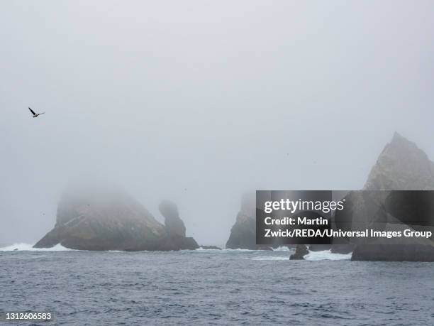 Shag Rocks 30 Shag Rocks South Georgia Stock Photos, High-Res Pictures, and Images ...