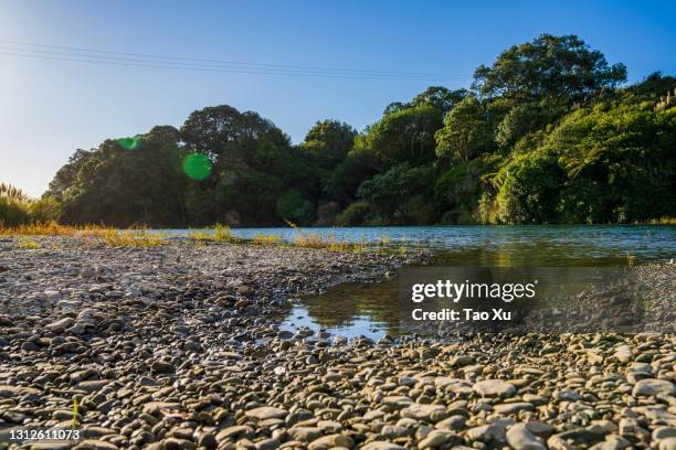 river bank - seicht stock-fotos und bilder