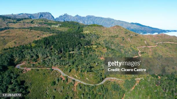 aerial madeira natural park road - funchal imagens e fotografias de stock