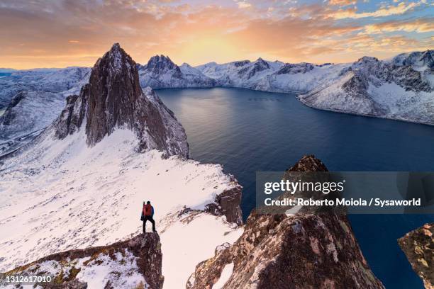 backpacker on rocks admiring segla peak and sea, senja - isola di senja foto e immagini stock