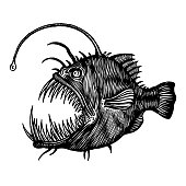 Angler fish, Lophiiformes, vector illustration. A collection of fish.
