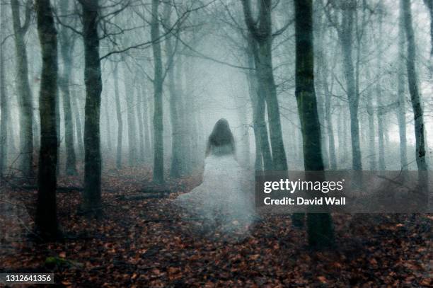 a supernatural concept of a ghostly woman wearing a long white dress, walking through a spooky, foggy forest in winter. with a grunge, vintage edit. - apparition photos et images de collection