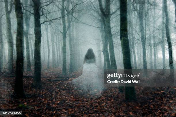 a supernatural concept of a ghostly woman wearing a long white dress, walking through a spooky, foggy forest in winter. with a grunge, vintage edit. - fantasma foto e immagini stock