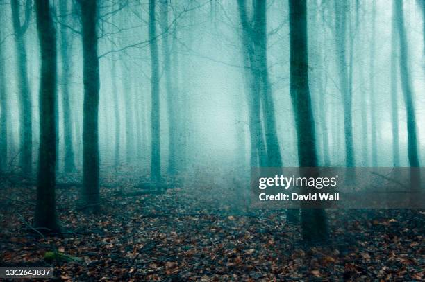 a supernatural concept of a spooky, blurred, foggy forest in winter. with a grunge, vintage edit. - soul stories stock pictures, royalty-free photos & images