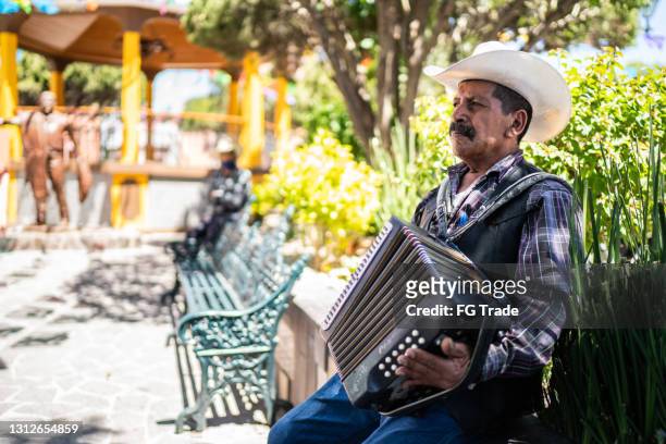 homem sênior com uma sanfona olhando para o lado - accordion - fotografias e filmes do acervo