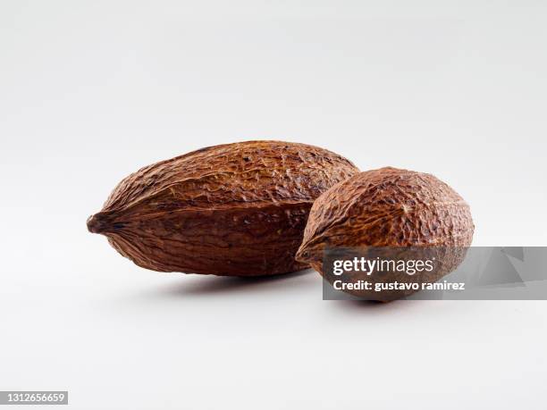 cocoa fruits beans - cacao beans stock-fotos und bilder