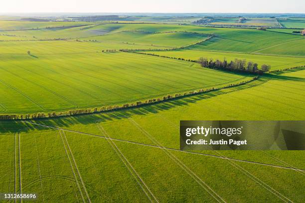 drone view onto an agricultural fields with a hedgerow divider - agricultural field drone stock pictures, royalty-free photos & images