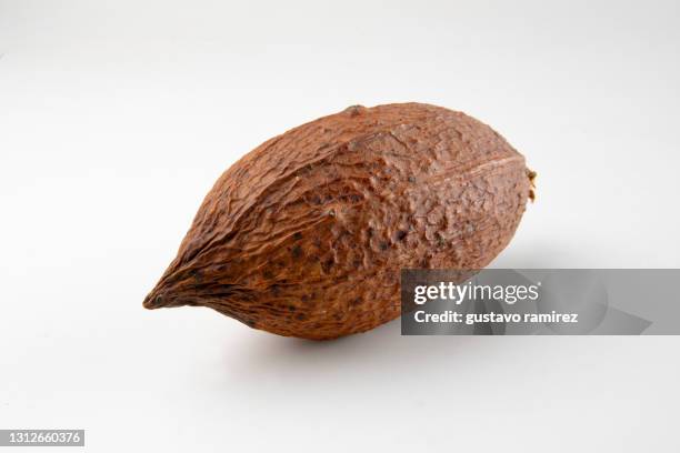 cocoa fruits beans - theobroma foto e immagini stock