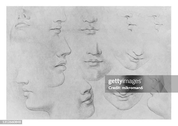 old engraved illustration of sketching mouths, lips, noses - learning to draw - nose stock pictures, royalty-free photos & images