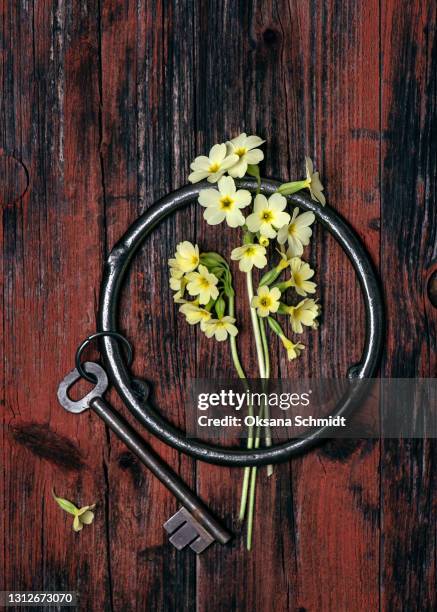 Rusty Key Chain 114 Flower Keychain Stock Photos, High-Res Pictures, and Images - Getty ...