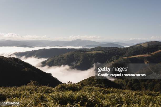 mountain landscape during sunrise - comunidade autónoma do país basco imagens e fotografias de stock