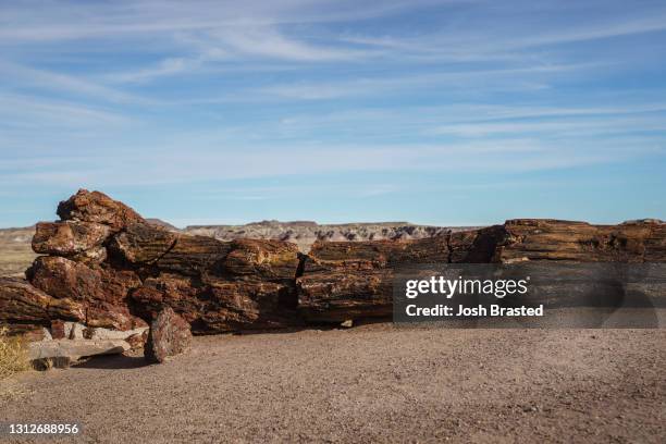 Petrified wood dots the landscape at Petrified Forest National Park on December 26, 2020 in Petrified Forest, Arizona.