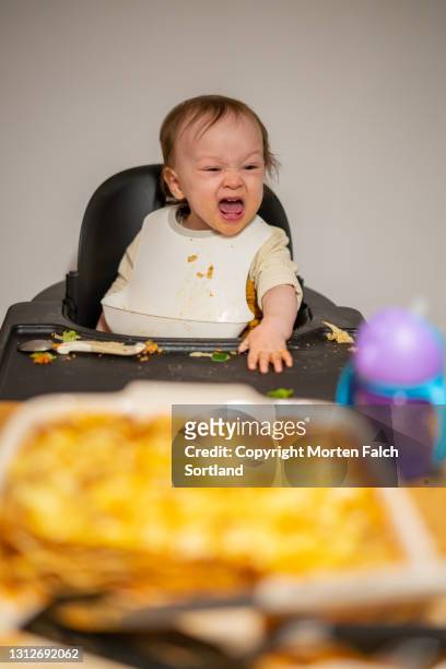 a child enjoying a hearty meal at home - esigere foto e immagini stock