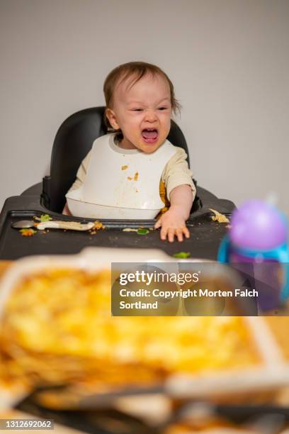 a child enjoying a hearty meal at home - exigir - fotografias e filmes do acervo