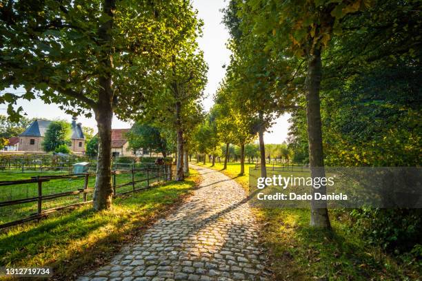 belgian village - east flanders stock pictures, royalty-free photos & images